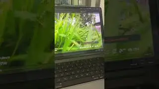 The DJI AVATA has a BIG Problem!!!! 