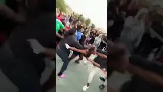school fights