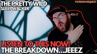 THE PRETTY WILD ARE INSANELY GOOD - THAT BREAKDOWN!?!