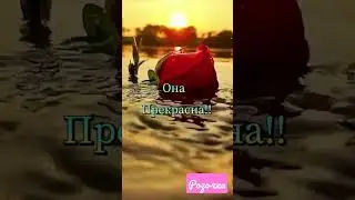Счастья Вам!