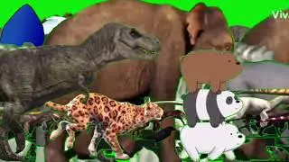Large Animal Stampede Green Screen