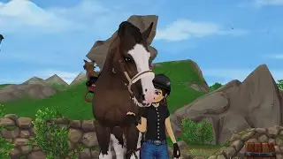 Editing Different SSO Horse Breeds #2