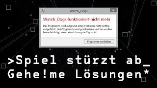 Problemfall #1: Spiel stürzt beim Start ab