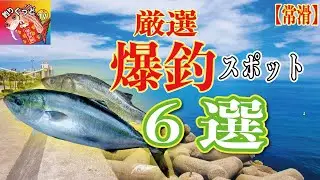 【行けば釣れる釣場6選】常滑釣りスポット【厳選】