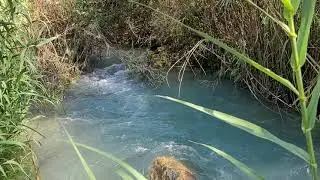 Otro Videito Del Río Azul| Concepción Huista H. GT