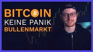 Bitcoin ist tot, lang lebe Bitcoin! Warum ihr optimistisch bleiben könnt!