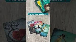 Что ждет в работе❓