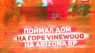 ПОЙМАЛ ДОМ НА VINEWOOD & КУПИЛ ОСОБНЯК ЗА 300 МИЛЛИОНОВ & ДОМ ПО ИНФE & ЛОВЛЯ ДОМОВ НА ARIZONA RP