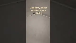 У нас в подъезде живут ласточки 🐦🐦🐦🐦🐦🧺🧺🧺🧺🧺 (стоп! это же корзина)