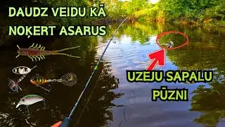 Daudz veidu kā noķert asarus! Uzeju sapalu pūzni! Viena no veiksmīgākajām copēm šogad!