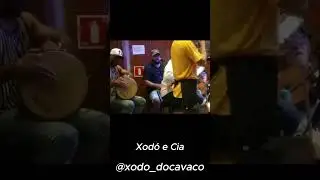 BRASILEIRINHO | XODÓ DO CAVACO |