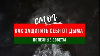 Смог, как защитить свой организм