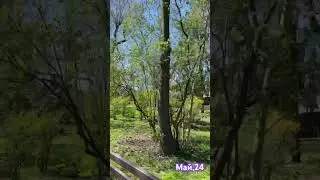 #бизнессекрет