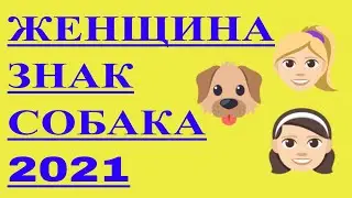 ЖЕНЩИНА ЗНАКА СОБАКА В 2021 ГОДУ. ВОСТОЧНЫЙ ГОРОСКОП ДЛЯ ЖЕНЩИНЫ ЗНАК СОБАКА НА 2021 ГОД