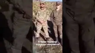 Бомж-армия краснодарцев  выживают в полях Украины