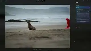 Luminar Neo Erase AI Demo
