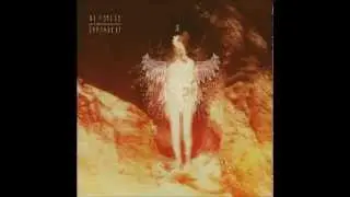 Be Forest - Lost Boy