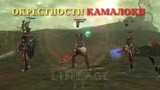 Открывашки сундуков Окрестности Камалоки 2024 LineAge 2 main | RuOff | Airin