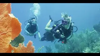 Stronger Together (Arabic)