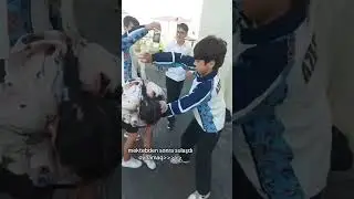 son zəng videoları 