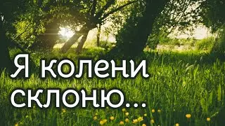 Очень красивая и трогательная песня 