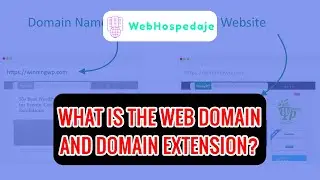What is The Web Domain And Domain Extension?