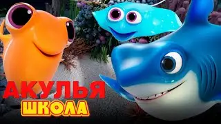 Акулья школа. Акуломания