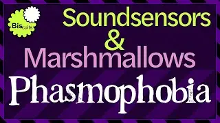 [Phasmophobia] - Soundsensors Optimal Coverage in Maple Lodge.