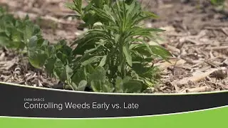 Farm Basics 