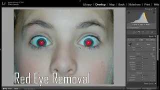 Adobe Lightroom Tips & Tricks - Red Eye Removal (English Subtitles)