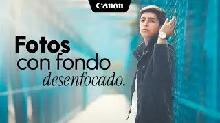 4 claves para lograr el fondo desenfocado en tus fotografías.