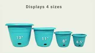 Jackson Self Watering Display Racks