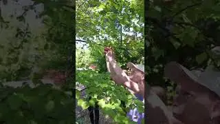 Летний лагерь, день 1, отряд N 3