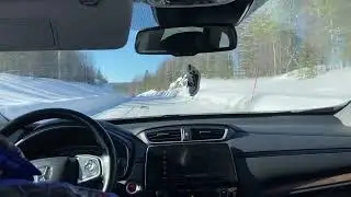 Едем по Лапландии. Рыбалка в Швеции