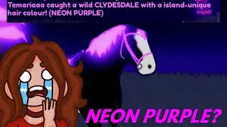 Temariaaa catches a NEON PURPLE Clyde in Wild Horse Islands on Roblox