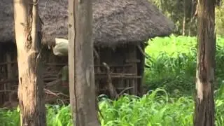 Stolen Childhood: Child Brides in Ethiopia