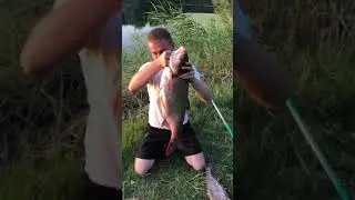 Поймали крупную рыбу #shorts
