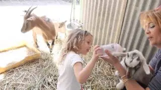 ג'ונגל כייף סרטון תדמית