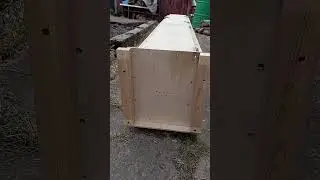 искусственная нора начало. Рыбалка охота ягдтерьер🦡