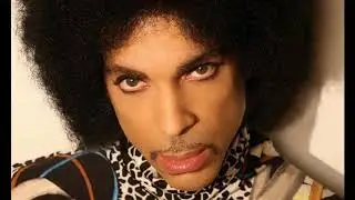 A Tribute to Prince musician rare old and new pictures