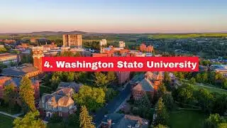 The Happiest College Campuses 2024