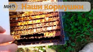 Наши внутреульевые кормушки. Сделали сами, используем несколько лет. Советуем всем.