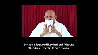 Jain Leader Gurudev Shree Namramuni Maharaj Saheb to followers: 