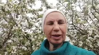 Пырей друг или враг