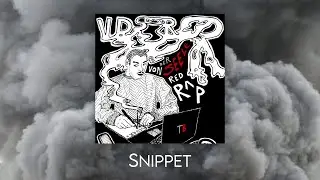 VDSRR - Mixtape Snippet