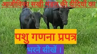 #ajivikasakhimandal पशु गणना प्रपत्र भरने के लिए सीखेंगे । #asm#jslps#nrlm Pashu ganana prapatra