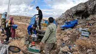 Nomadic Horizons: Charting a New Course After Devastation