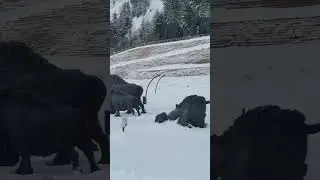 Археопарк Ханты-Мансийский