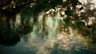 Portrait of a waterfall Reprise