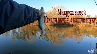 Микроджиг зимой. Ловим щуку